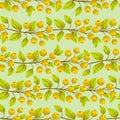 Vector seamless pattern with horizontal yellow berry twigs.